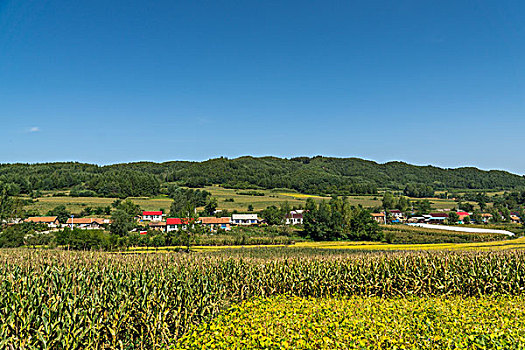 xô số