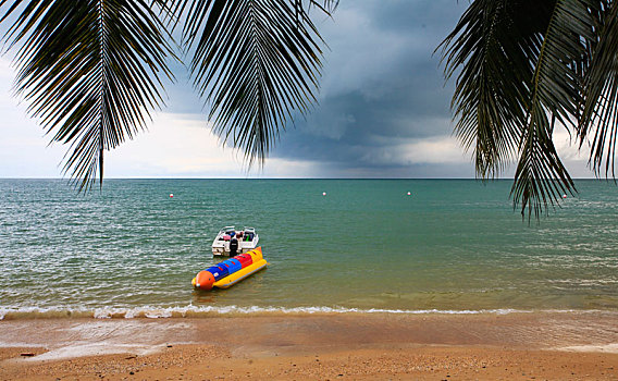 xs thu nam