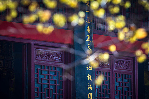 quay thử xổ số thành phố