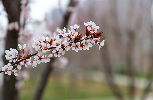 số xổ số miền bắc
