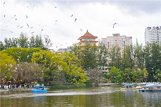 kết quả xổ số gia lai hôm nay