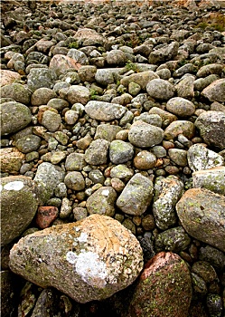 lô bạch thủ ngày hôm nay