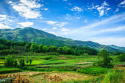 xổ số cần thơ trực tiếp