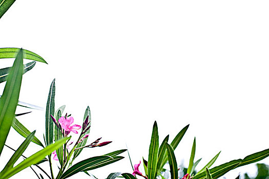 thống kê xổ số bình định