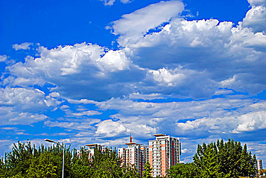 cau 2888