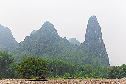 soi cầu lo