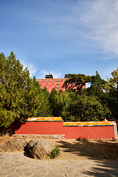 cau rong bạch kim