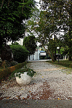 xskt da lat