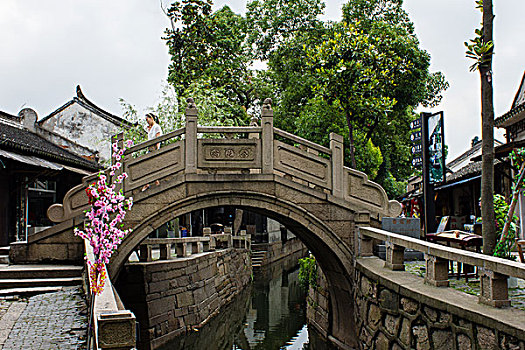 rong bach kim 366