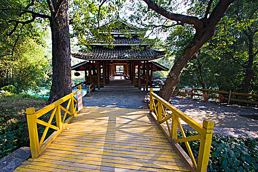 soi cau lo bachthu