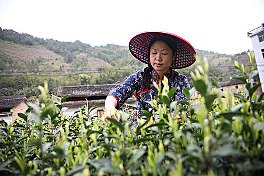 xổ số khánh hòa hôm nay