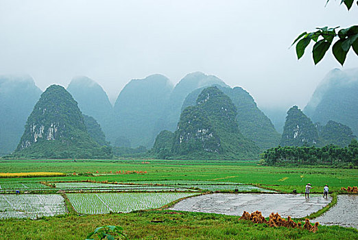 soi cau s3