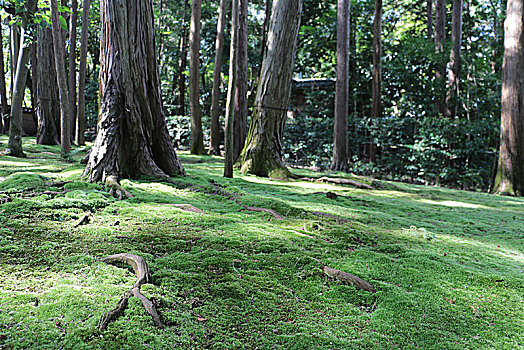 xô so