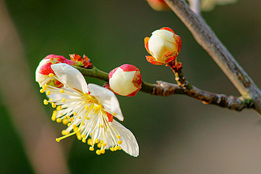 xổ số thành phố thứ hai