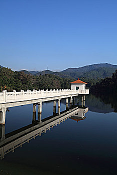 cau bach thu mien bac