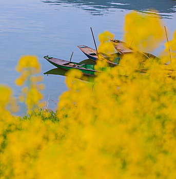soi cau xo so binh duong