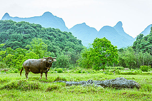 giải đặc biệt theo tuần