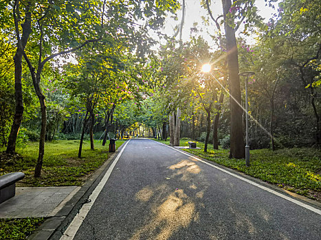 soi cầu 88