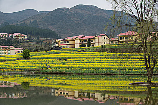 du doan mn minh ngoc