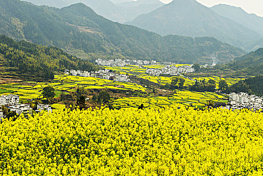soi cau du doan xo so ba mien
