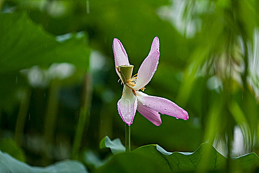 du doan xo so soi cau