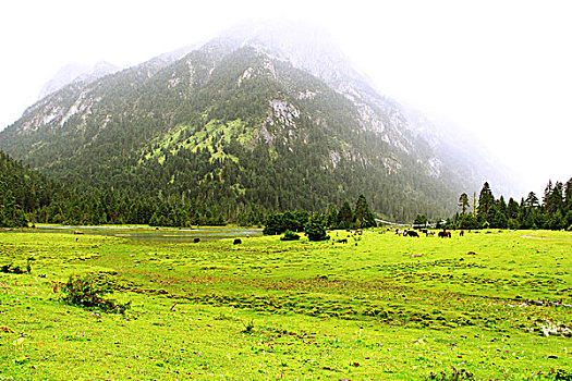 bach thu mien bac hom nay