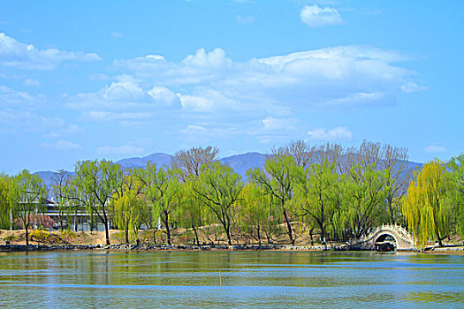 lô dàn