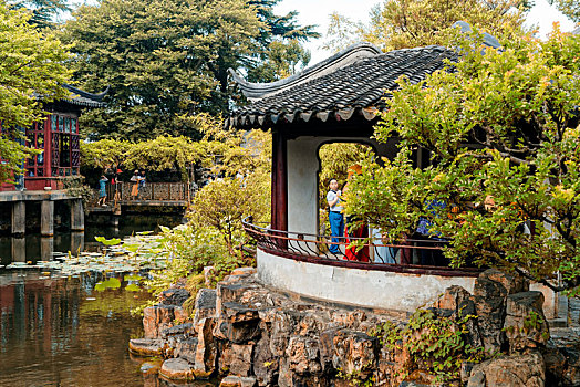 cau bạch thu hom nay