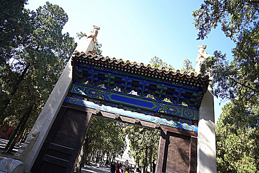 soi cau bạch thu xsmb