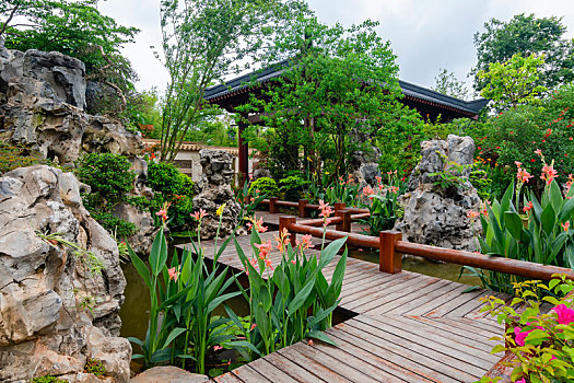 soi cau mb rong bach kim