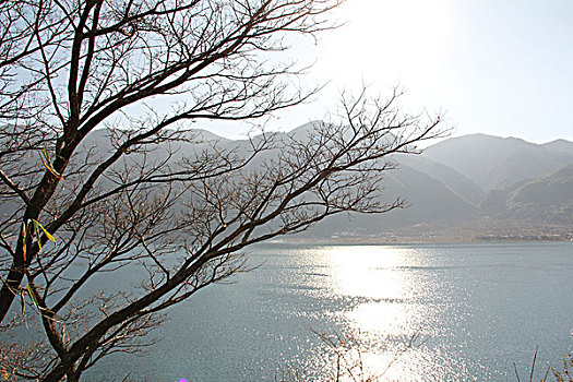 xs tây ninh