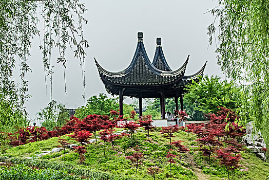 cau lo 888 mien phi