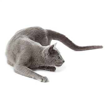 cầu tuần xổ số miền bắc