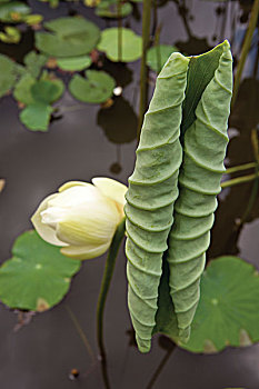 du doan xs ba miền