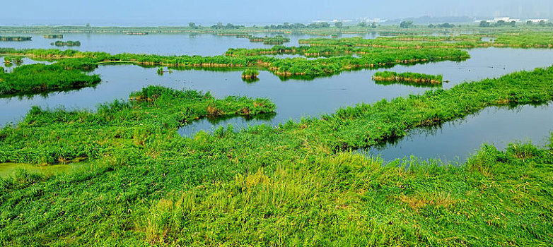 dự đoán hôm nay