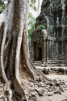 soi cau 30 ngay