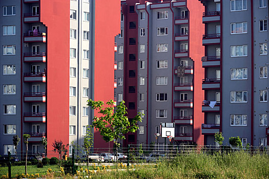 lô bạch thủ ngày hôm nay