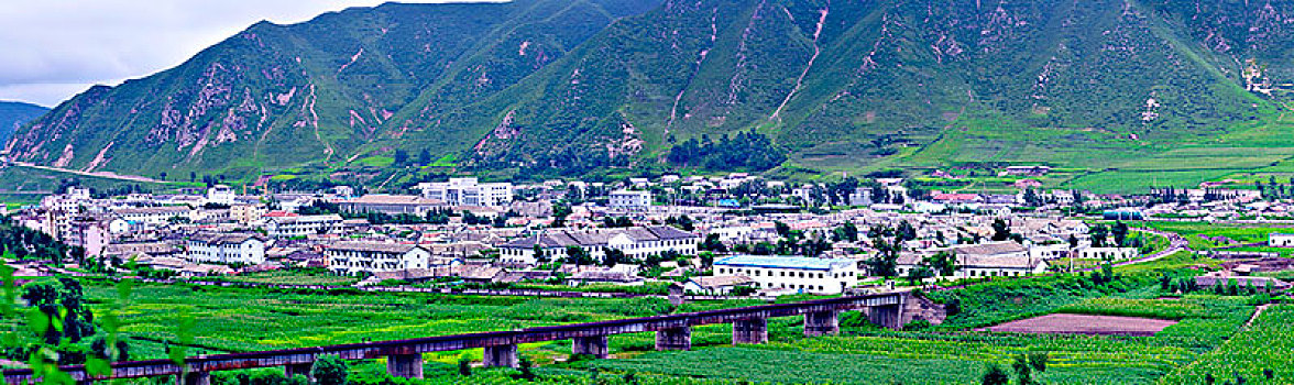 bạch thủ lô chuẩn