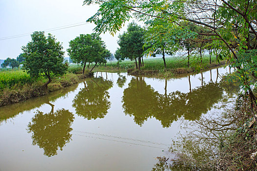 xổ số hà nội