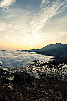 xổ thử miền nam
