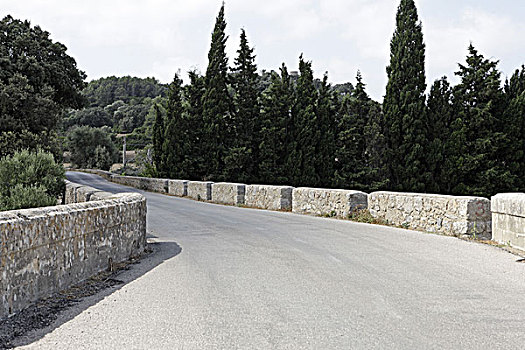 rong bach