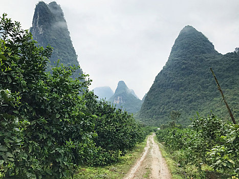 soi cầu 288