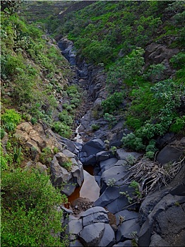 soi cầu bạch thủ 247
