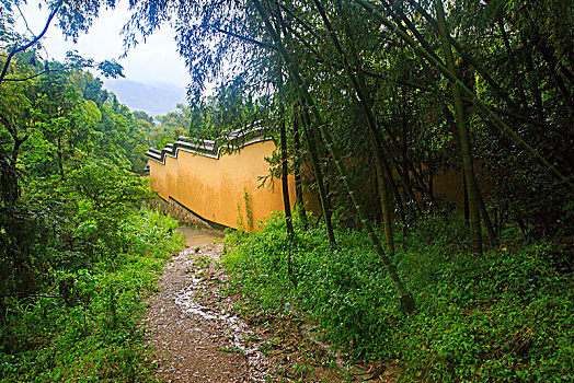 soi cau nha cai