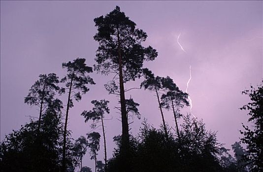 soi cầu bạch thủ ngày hôm nay