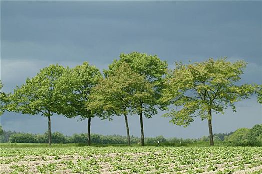 xổ số miền bác
