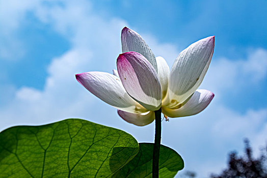 số đề đẹp hôm nay