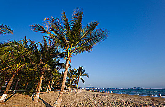 xs tay ninh hom nay