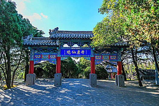 cau rong bạch kim