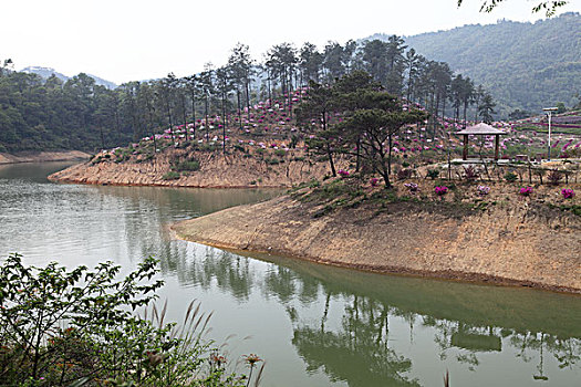 chơi số đề